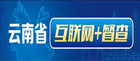 云南省互聯網督查
